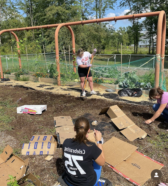 Public Health Garden